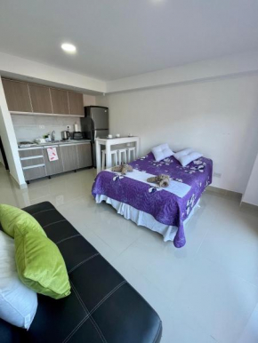 Alvere lll Temporary Apartments Ushuaia